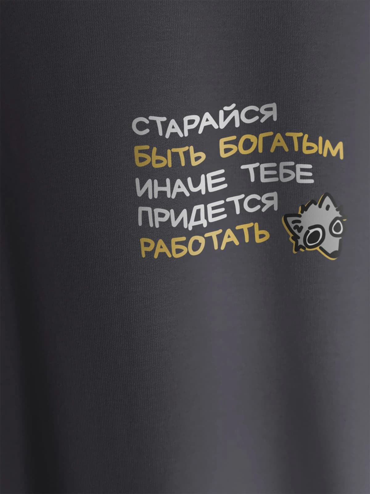 Футболка темно-серая с принтом Старайся быть богатым — миниатюра 6