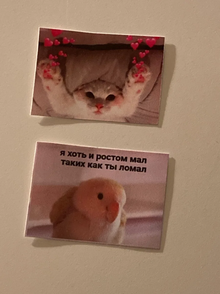 Фото покупателя